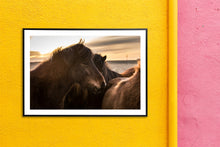 Load image into Gallery viewer, Hästar på Island
